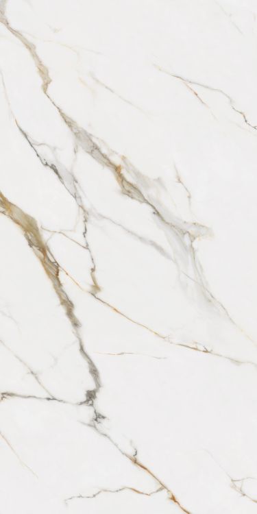 Time Dorado Matte 24 x 48